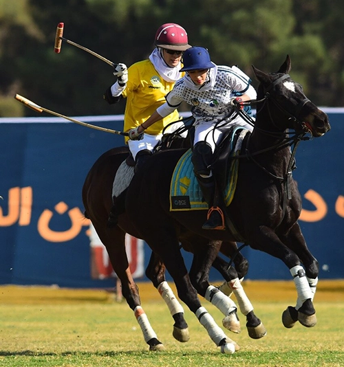 مسابقات چوگان 