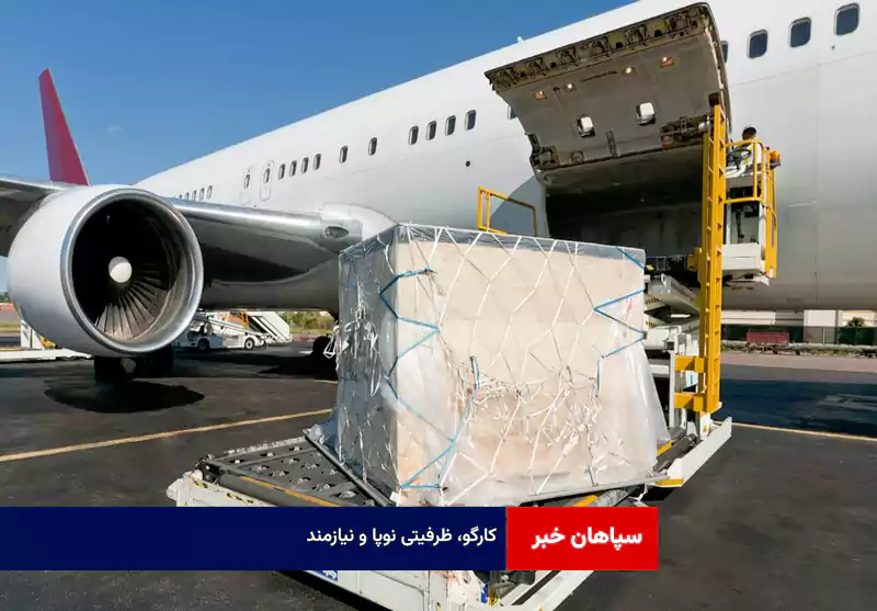 کارگو، ظرفیتی نوپا و نیازمند