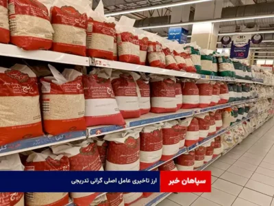 ارز تاخیری عامل اصلی گرانی تدریجی