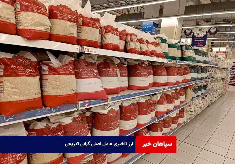 ارز تاخیری عامل اصلی گرانی تدریجی