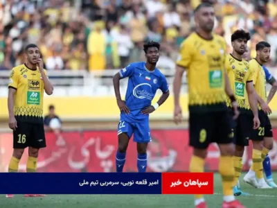 امیر قلعه نویی، سرمربی تیم ملی