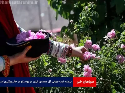 پرونده ثبت جهانی گل محمدی ایران در یونسکو در حال پیگیری است