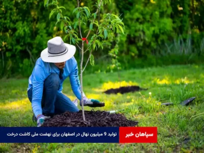 تولید ۹ میلیون نهال در اصفهان برای نهضت ملی کاشت درخت