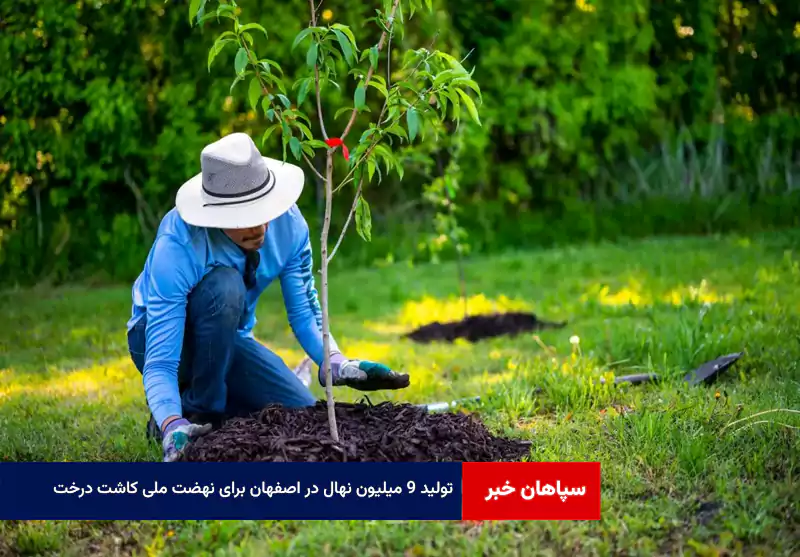 تولید ۹ میلیون نهال در اصفهان برای نهضت ملی کاشت درخت