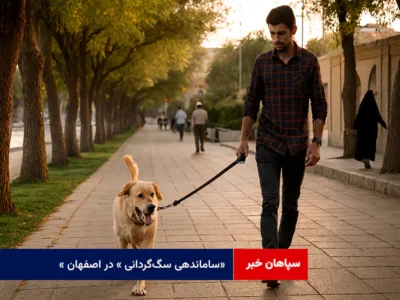 « ساماندهی سگ‌گردانی » در اصفهان