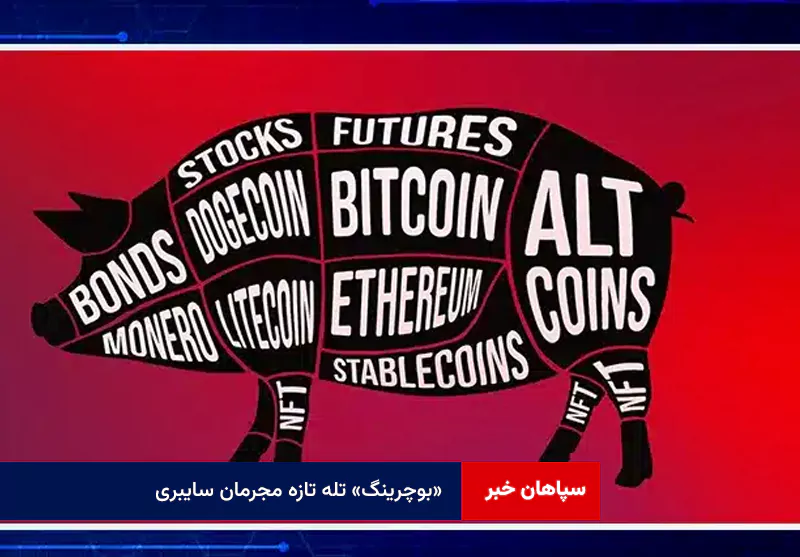 «بوچرینگ» تله تازه مجرمان سایبری