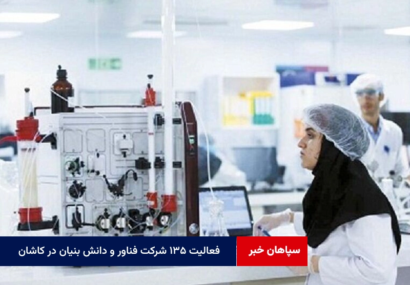 فعالیت ۱۳۵ شرکت فناور و دانش بنیان در کاشان