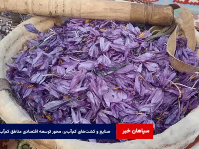 صنایع و کشتهای کمآببر، محور توسعه اقتصادی مناطق کمآب