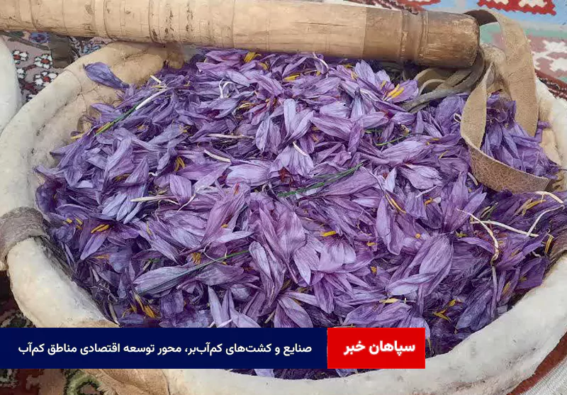 صنایع و کشتهای کمآببر، محور توسعه اقتصادی مناطق کمآب