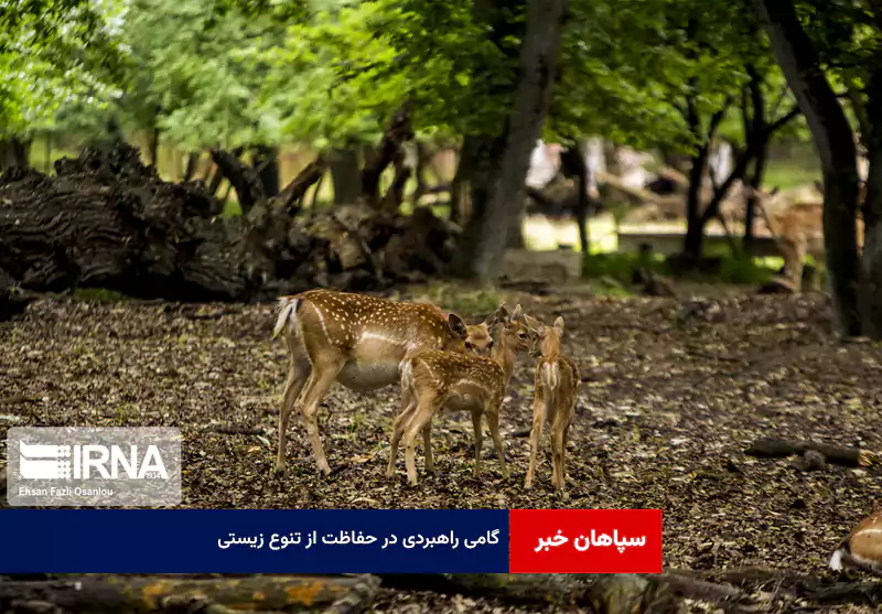 گامی راهبردی در حفاظت از تنوع زیستی