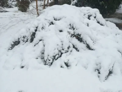 اصفهان سفیدپوش شد (پاییز ۱۴۰۴)