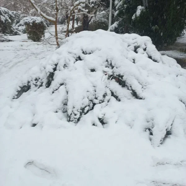 اصفهان سفیدپوش شد (پاییز ۱۴۰۴)