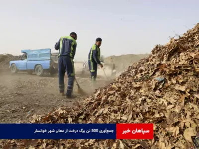 جمع‌آوری ۵۰۰ تن برگ درخت از معابر شهر خوانسار
