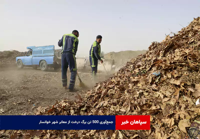جمع‌آوری ۵۰۰ تن برگ درخت از معابر شهر خوانسار