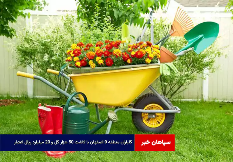 گلباران منطقه ۹ اصفهان با کاشت ۵۰ هزار گل و ۲۰ میلیارد ریال اعتبار