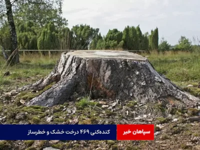 کنده‌کنی ۴۶۹ درخت خشک و خطرساز