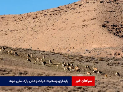 پایداری وضعیت حیات وحش پارک ملی موته