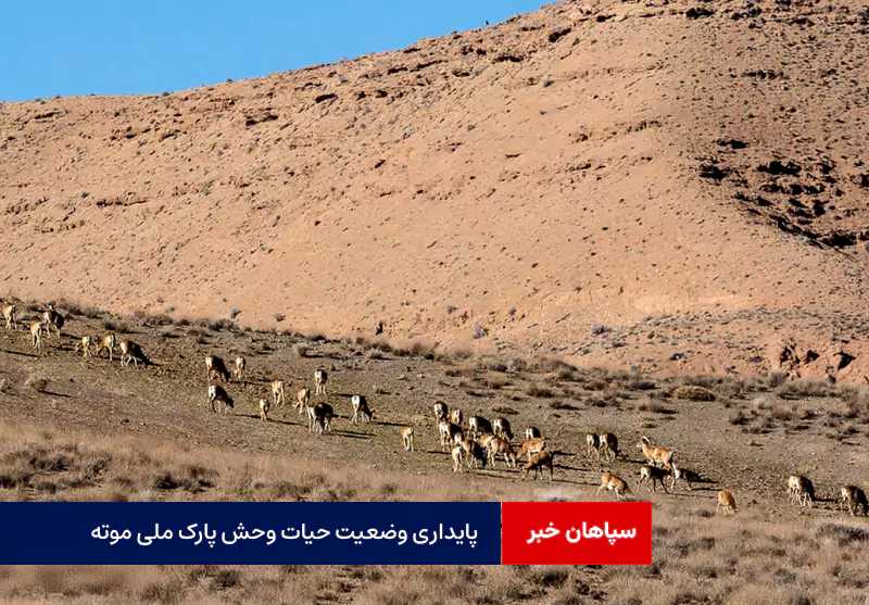 پایداری وضعیت حیات وحش پارک ملی موته