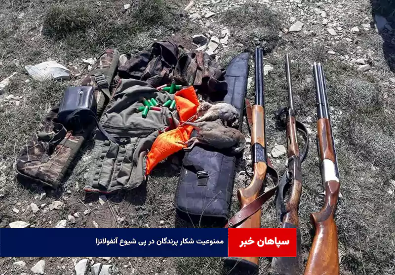 ممنوعیت شکار پرندگان در پی شیوع آنفولانزا