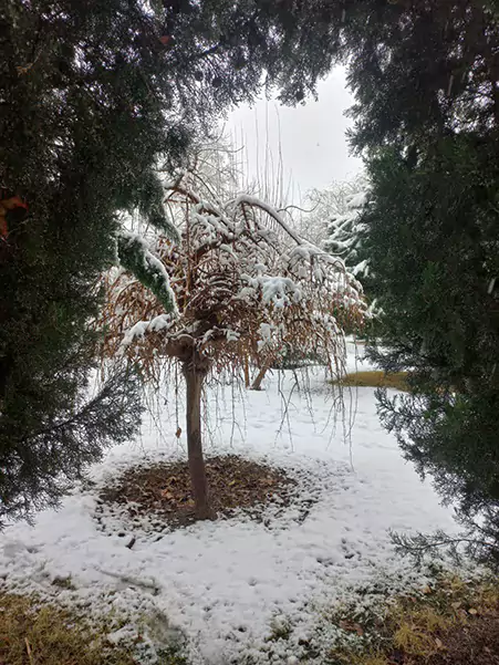 شروع فعالیت بانک ها و ادارات اصفهان امروز و فردا