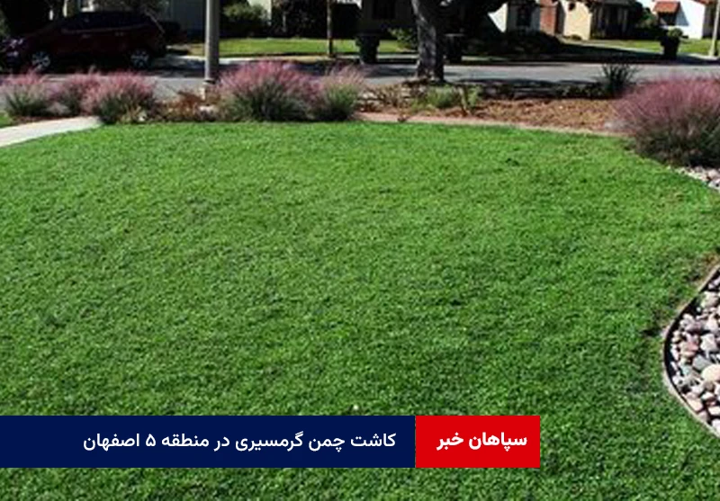 کاشت چمن گرمسیری در منطقه ۵ اصفهان