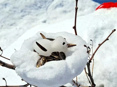 برگزاری جشنواره ساخت آدم برفی در چادگان