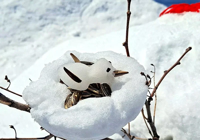 برگزاری جشنواره ساخت آدم برفی در چادگان