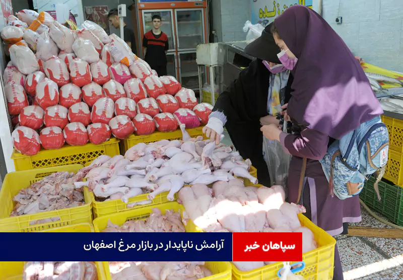 آرامش ناپایدار در بازار مرغ اصفهان