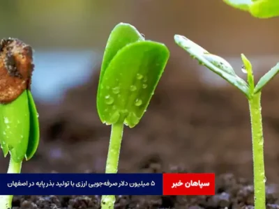 ۵ میلیون دلار صرفه‌جویی ارزی با تولید بذر پایه در اصفهان