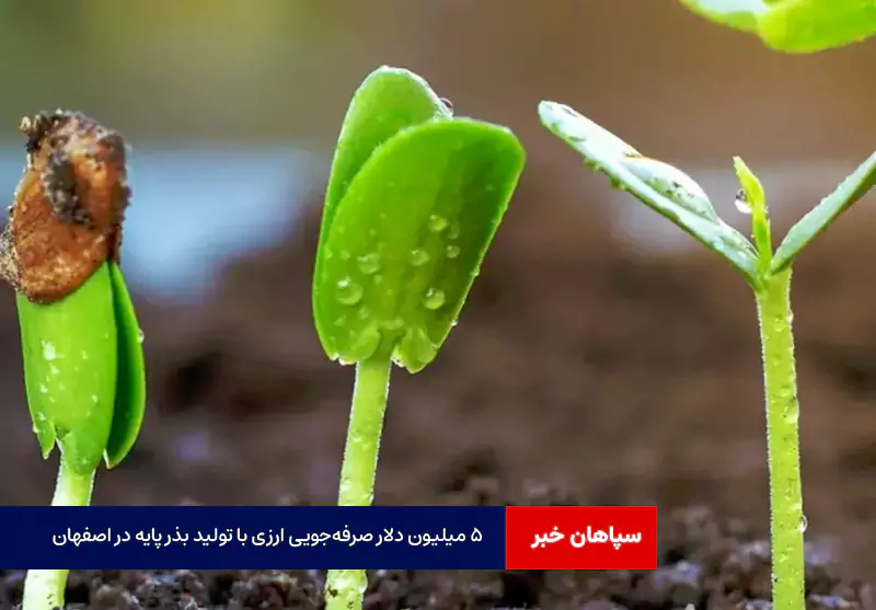 ۵ میلیون دلار صرفه‌جویی ارزی با تولید بذر پایه در اصفهان