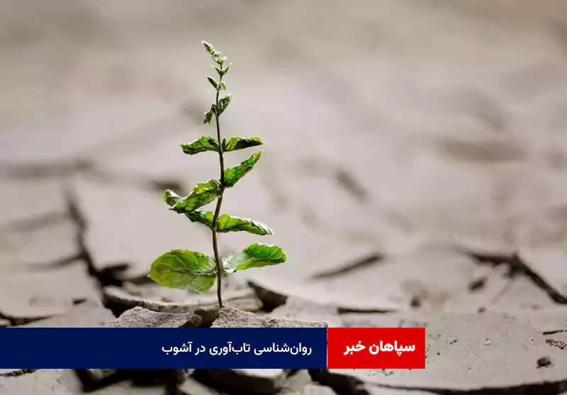 روان‌شناسی تاب‌آوری در آشوب