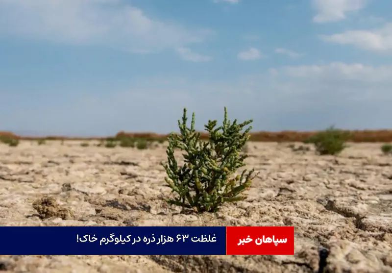 غلظت ۶۳ هزار ذره در کیلوگرم خاک!