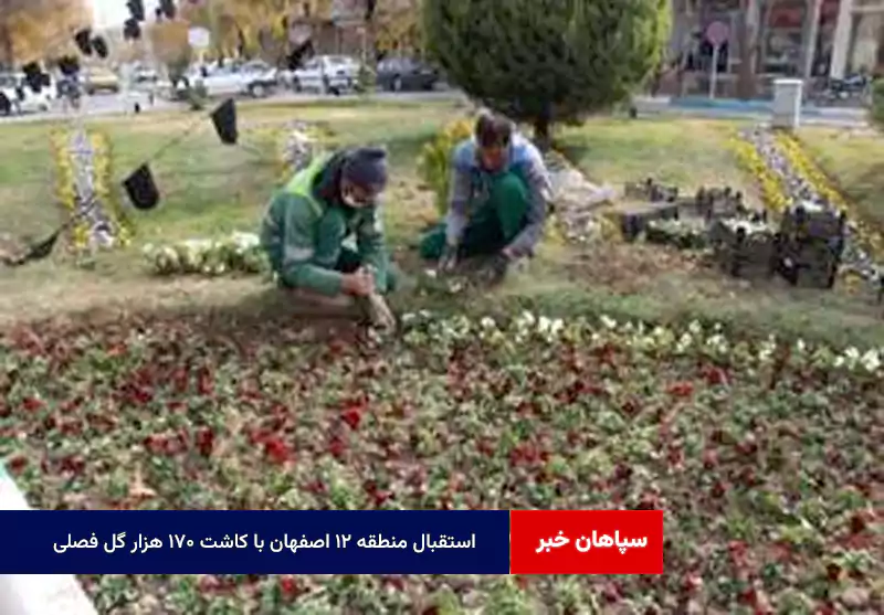 استقبال منطقه ۱۲ اصفهان با کاشت ۱۷۰ هزار گل فصلی