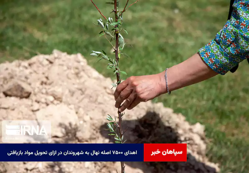 اهدای ۷۵۰۰ اصله نهال به شهروندان در ازای تحویل مواد بازیافتی