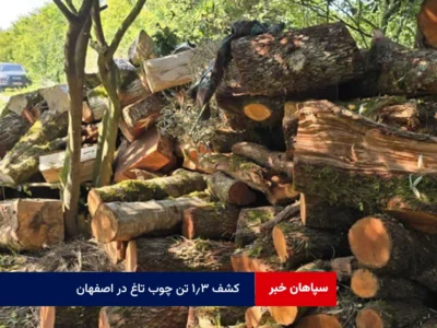 کشف ۱.۳ تن چوب تاغ در اصفهان؛قاچاقچیان با چاقو به جنگلبانان حمله کردند