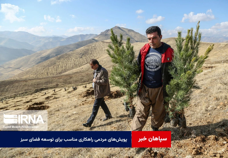 پویشهای مردمی راهکاری مناسب برای توسعه فضای سبز