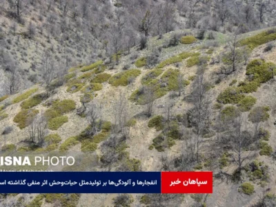 انفجارها و آلودگیها بر تولیدمثل حیاتوحش اثر منفی گذاشته است