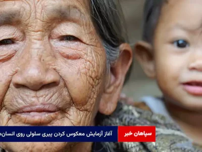 آغاز آزمایش معکوس‌ کردن پیری سلولی روی انسان‌ها