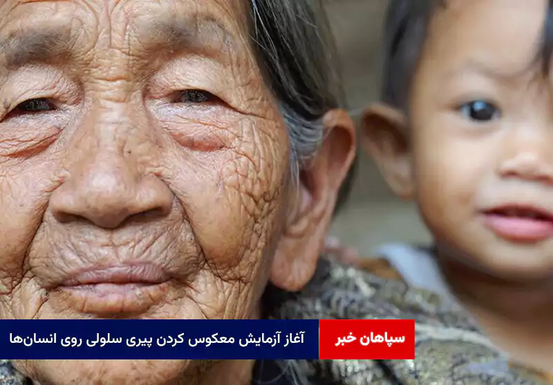 آغاز آزمایش معکوس‌ کردن پیری سلولی روی انسان‌ها