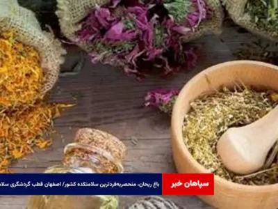 باغ ریحان، منحصربه‌فردترین سلامتکده کشور/ اصفهان قطب گردشگری سلامت