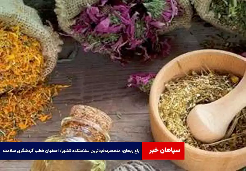 باغ ریحان، منحصربهفردترین سلامتکده کشور/ اصفهان قطب گردشگری سلامت