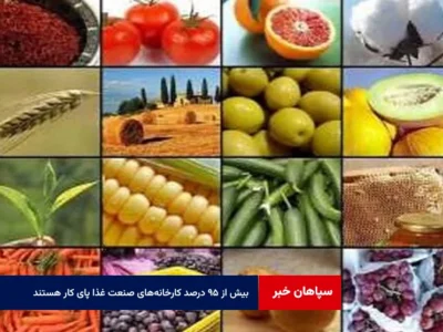 بیش از ۹۵ درصد کارخانههای صنعت غذا پای کار هستند