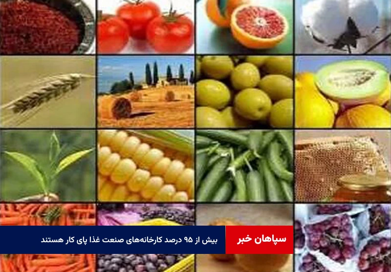 بیش از ۹۵ درصد کارخانه‌های صنعت غذا پای کار هستند