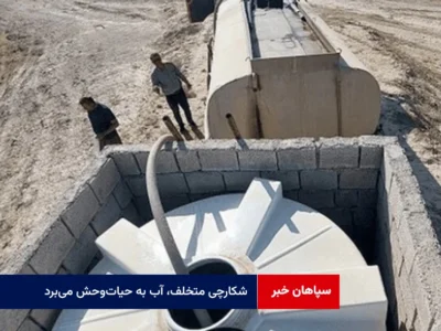 شکارچی متخلف، آب به حیات‌وحش می‌برد
