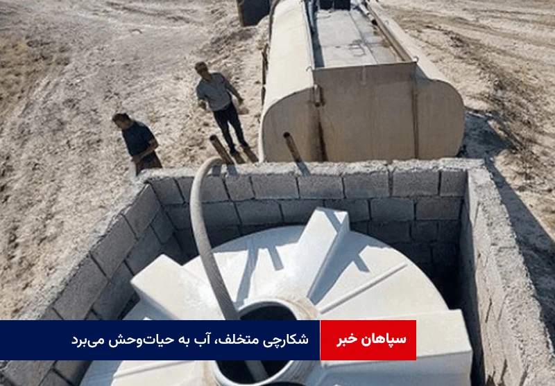 شکارچی متخلف، آب به حیاتوحش میبرد