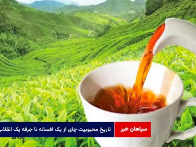 تاریخ محبوبیت چای از یک افسانه تا جرقه یک انقلاب