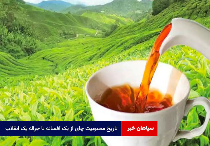 تاریخ محبوبیت چای از یک افسانه تا جرقه یک انقلاب