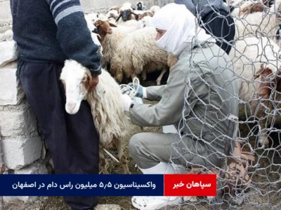 واکسیناسیون ۵.۵ میلیون راس دام در اصفهان