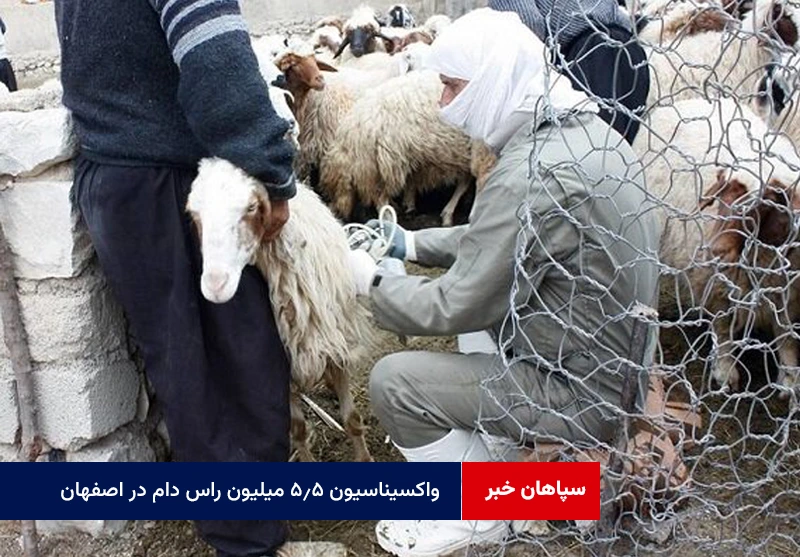 واکسیناسیون ۵.۵ میلیون راس دام در اصفهان