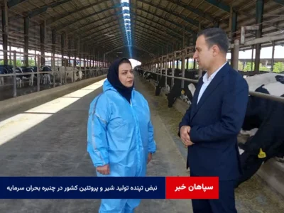 نبض تپنده تولید شیر و پروتئین کشور در چنبره بحران سرمایه در گردش